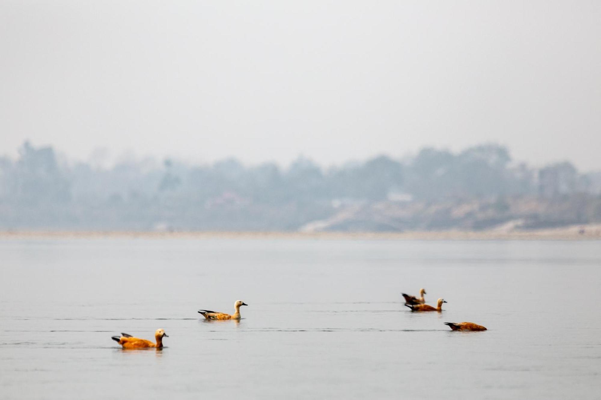 Sanctuary Chitwan National Park Читван Экстерьер фото