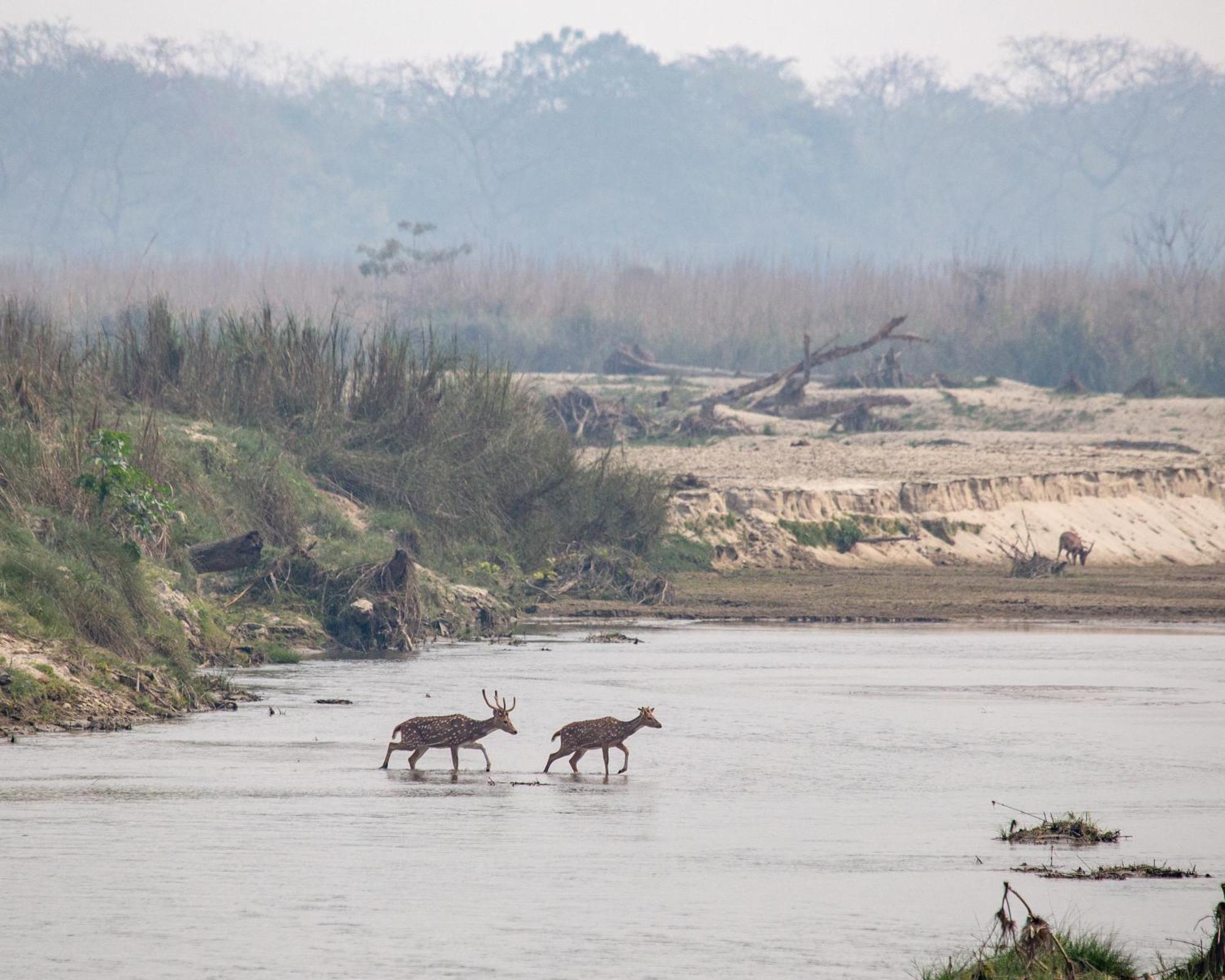 Sanctuary Chitwan National Park Читван Экстерьер фото